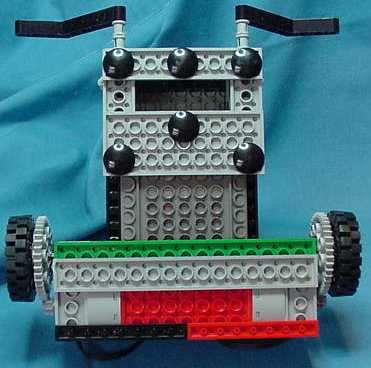 Chipmunk Chaser underside view