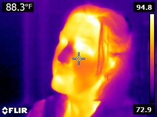 Rachel has a cold nose (infrared)