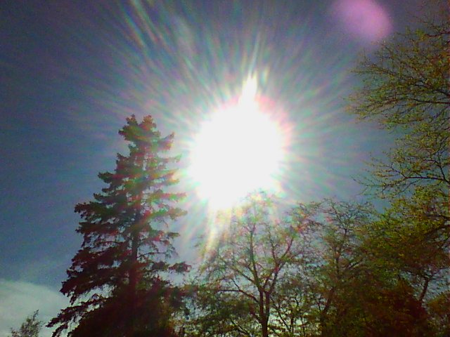 Sun and sky visible