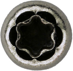 Head of T6 torx screw