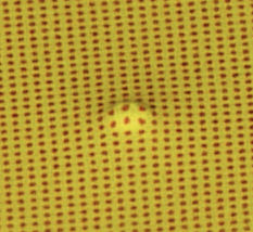 Close up of dimple