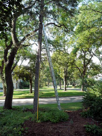Ladder and bulb changing extension pole