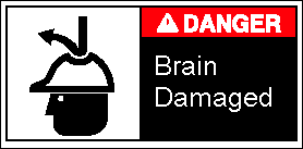 Brain Damaged