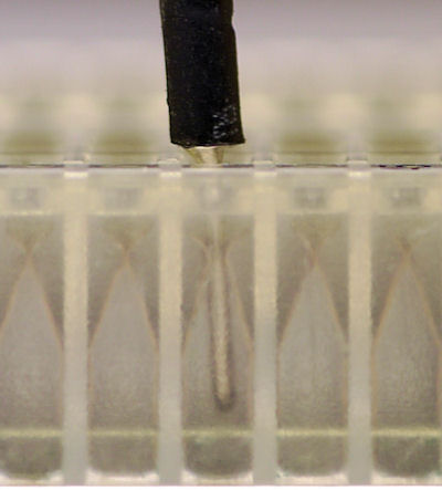 Close up of a jumper wire in a solderless breadboard socket